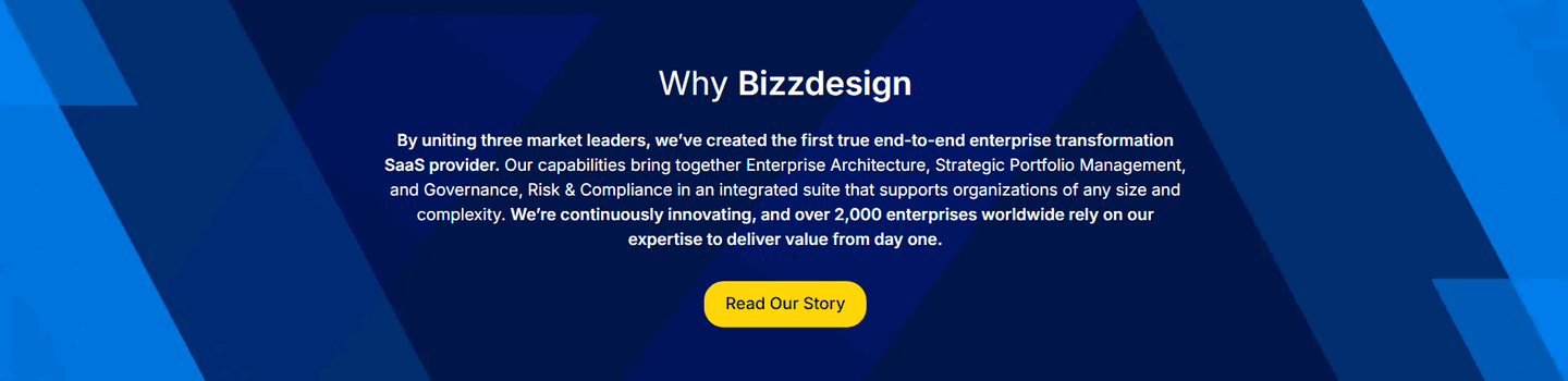 Bizzdesign About