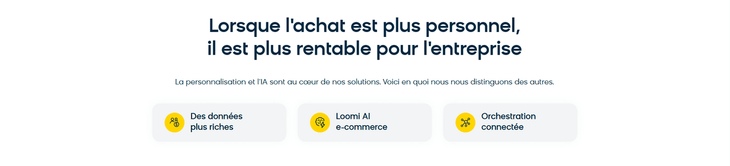 Bloomreach Features