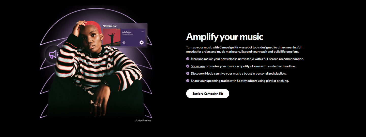 Spotify Features