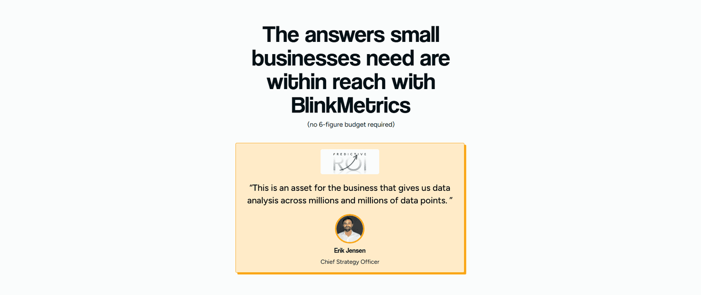 BlinkMetrics Testimonial