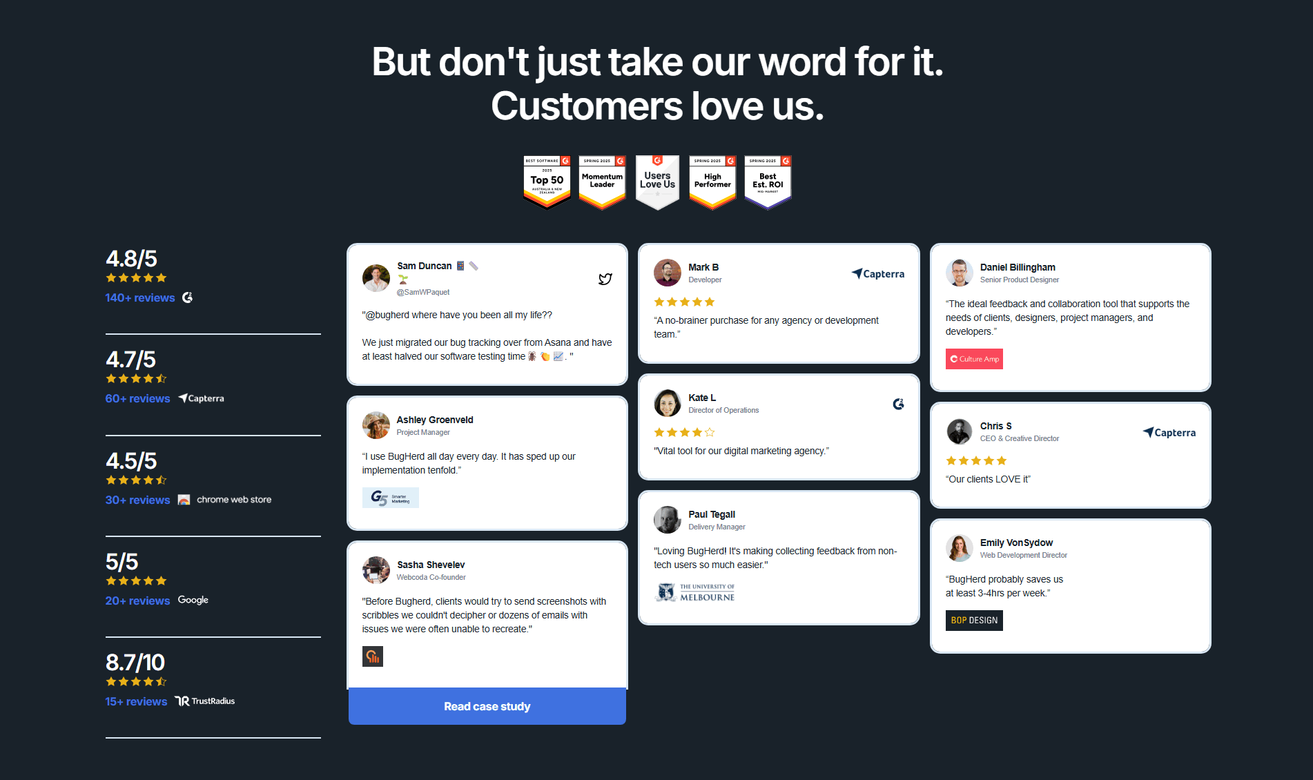 Bugherd Testimonial